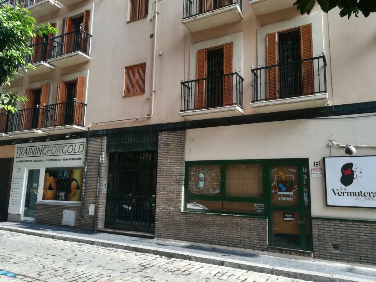 Luxury Maestranza Donkey Apartment Seville Ngoại thất bức ảnh